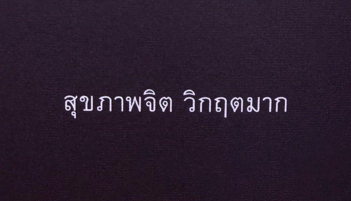 หมีไข่ 🐻 tweet media