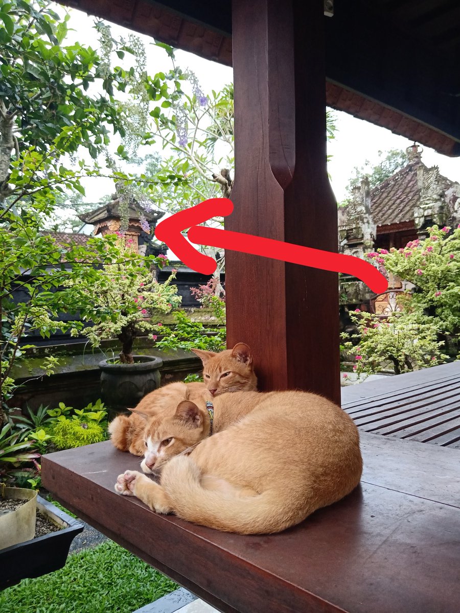 bera. ☽̶☾ tweet media