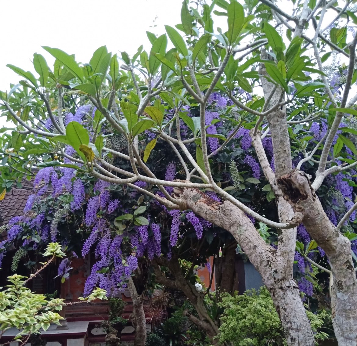 bera. ☽̶☾ tweet media