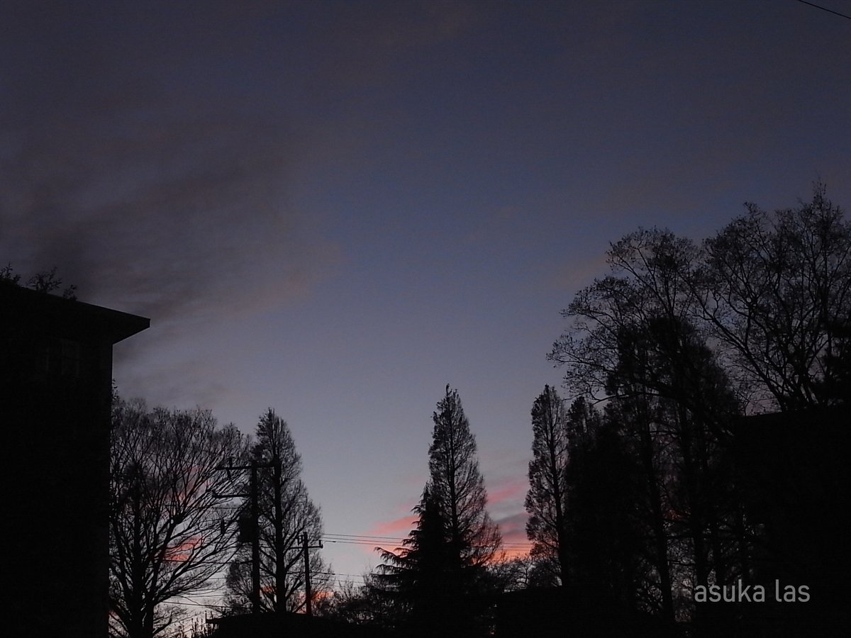 asukalas's tweet image. #GX200
＃RICOH
＃スナップ写真

藍色の空に