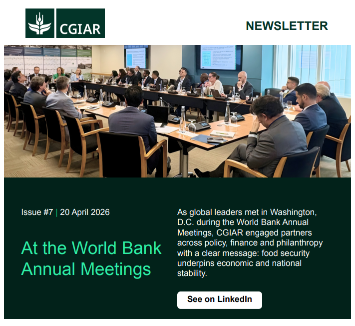 CGIAR's tweet image. 💌 The latest issue of our newsletter is out! 

In this issue, we report on CGIAR news and events around #WorldBank annual meetings, and share the latest news from our Research Centers.

📰 View PDF: on.cgiar.org/4n0UWL7
✅ Subscribe now: on.cgiar.org/4qkFmcV