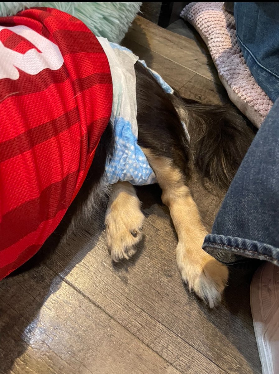 NPO法人LoveFive tweet media