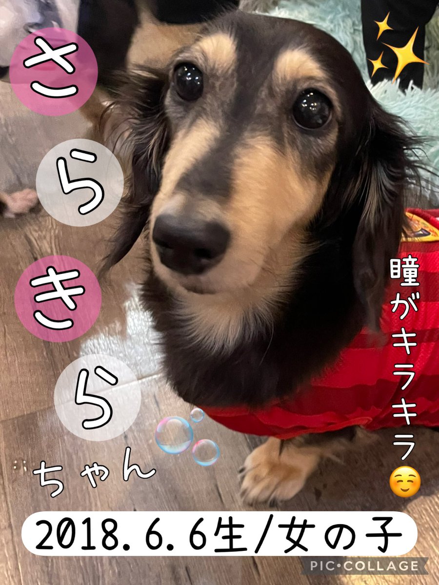 NPO法人LoveFive tweet media