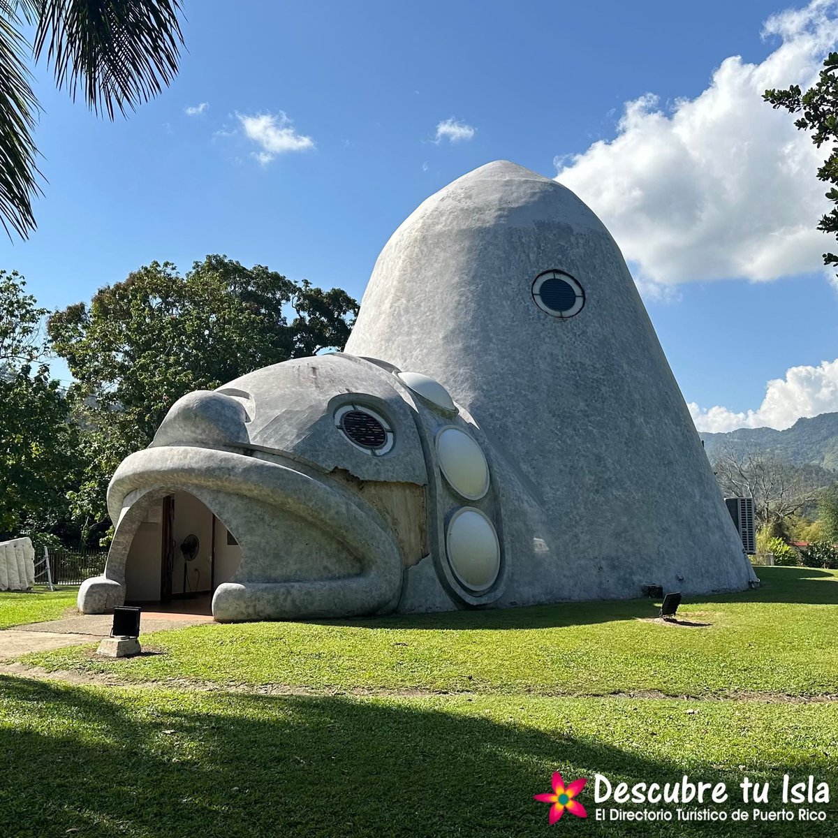 DescubreTuIsla's tweet image. MUSEO EL CEMÍ, JAYUYA 🇵🇷 

¡Descubre Tu Isla! 🌺

#PuertoRico #DescubreTuIsla #Vacaciones #Travel #Traveler #RoadTrip #IsladelEncanto