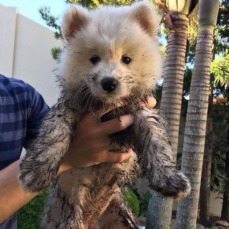 บ่าฮู้ววววว! tweet media