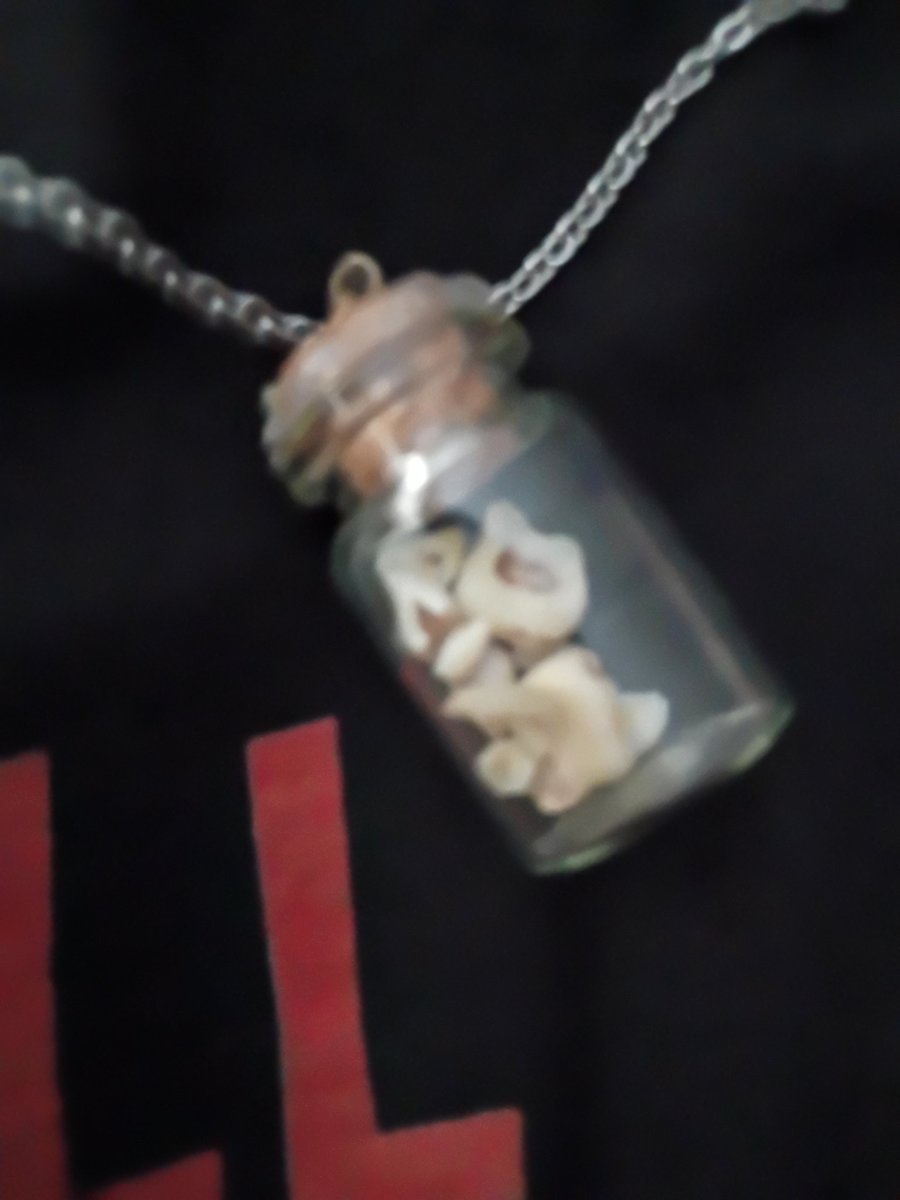 Venus ||shedtwt|| (sused at 4k) tweet media