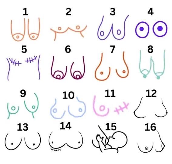 Lactofilia Club tweet media