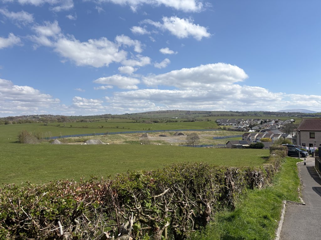 Carol Mochan tweet media