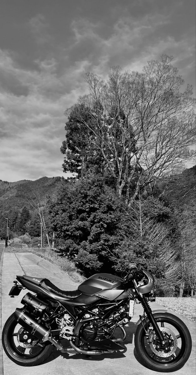 チロさん tweet media