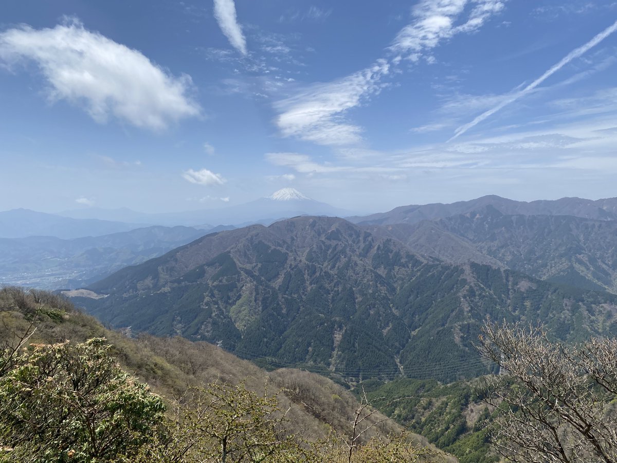 カレー大王おつかれ山⛰️ tweet media