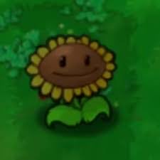 Devox Posting tweet media