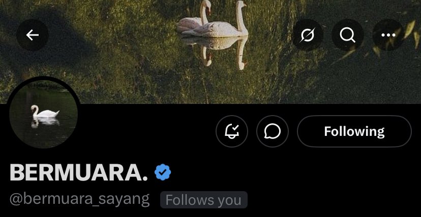 Giovanno A. tweet media