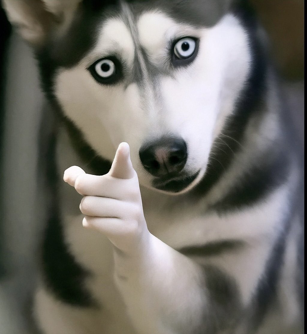 U.N.C.L.E 😎 tweet media