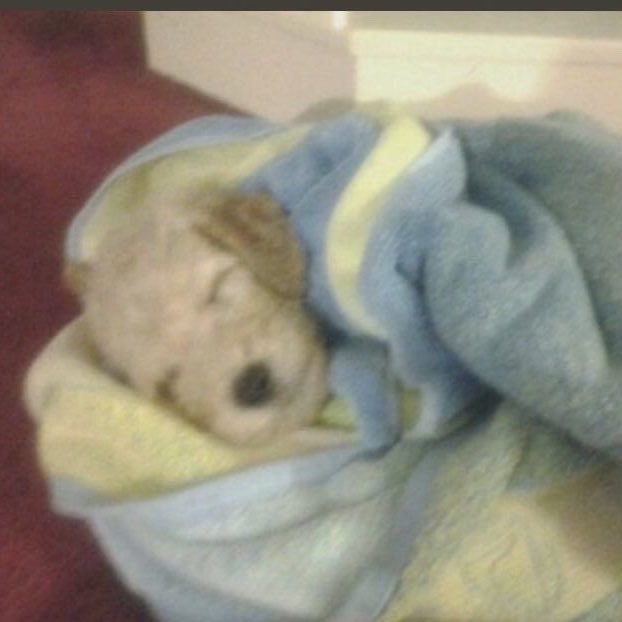 nisea ᖭི༏ᖫྀ tweet media