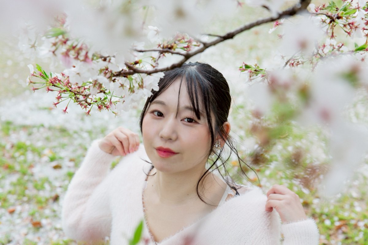 honoka_N_1020's tweet image. おはよう🌞

#おはよう

#写真　#Photo #桜
#写真好きと繋がりたい
#Canon