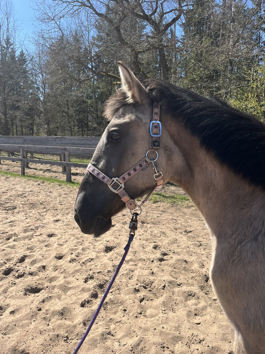 минус вайб и вялый дроч tweet media