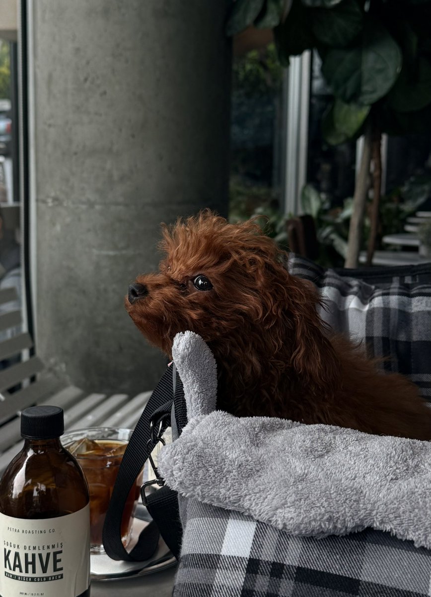 Bta 👾 tweet media