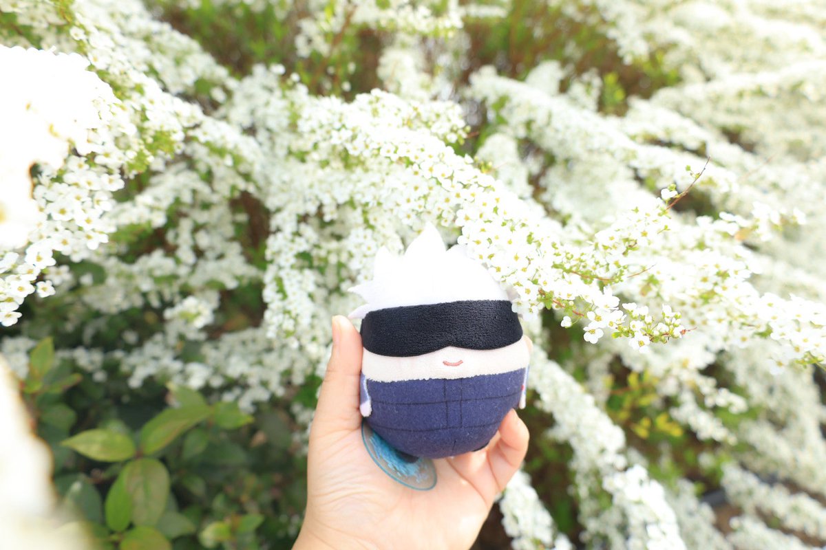 🇬🇧英国製いつはのカメラ📸 tweet media