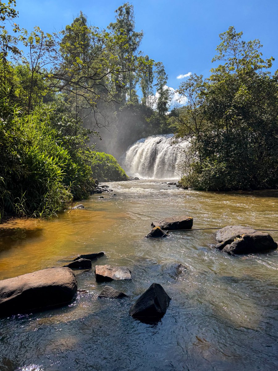 Mariana Oliveira tweet media
