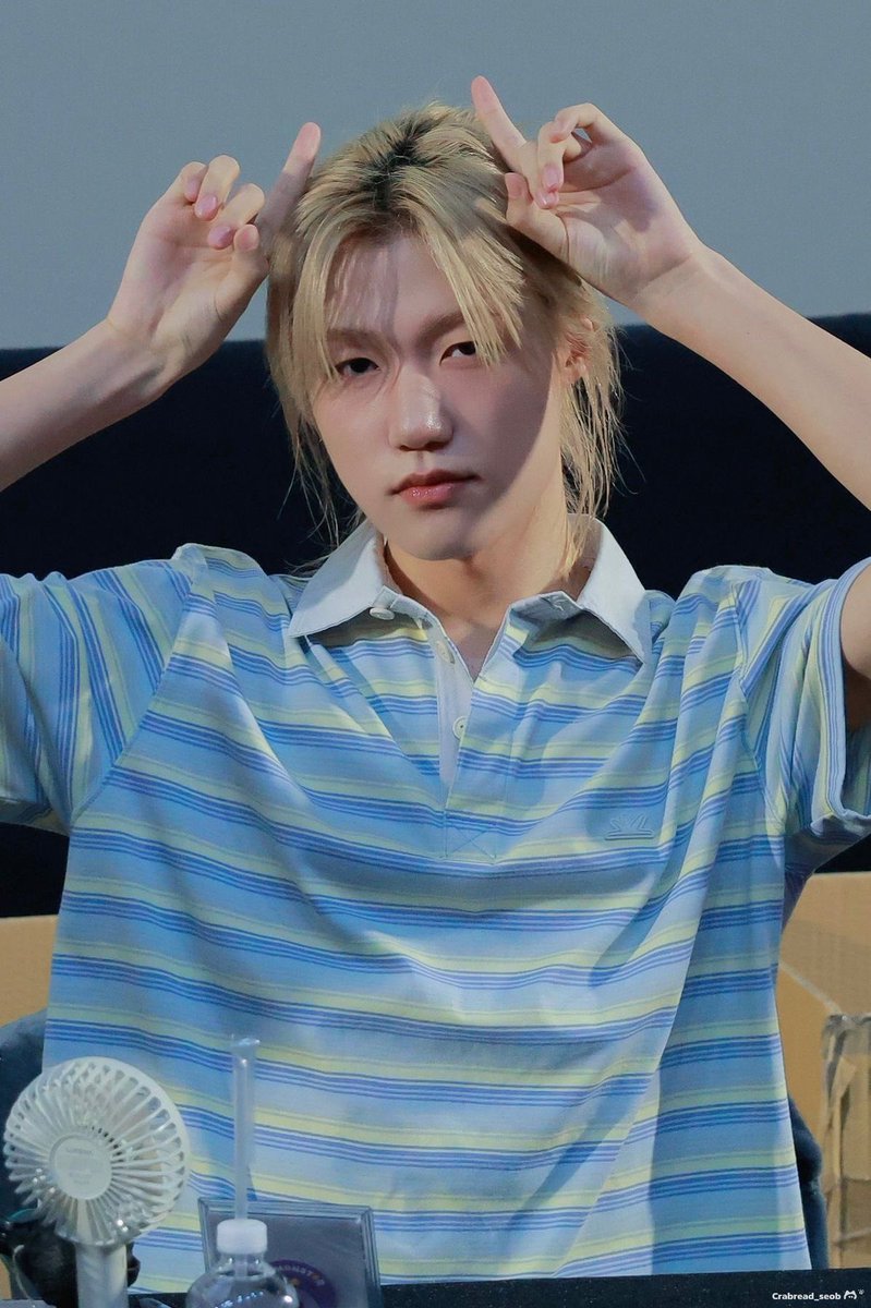 표고버섯 tweet media