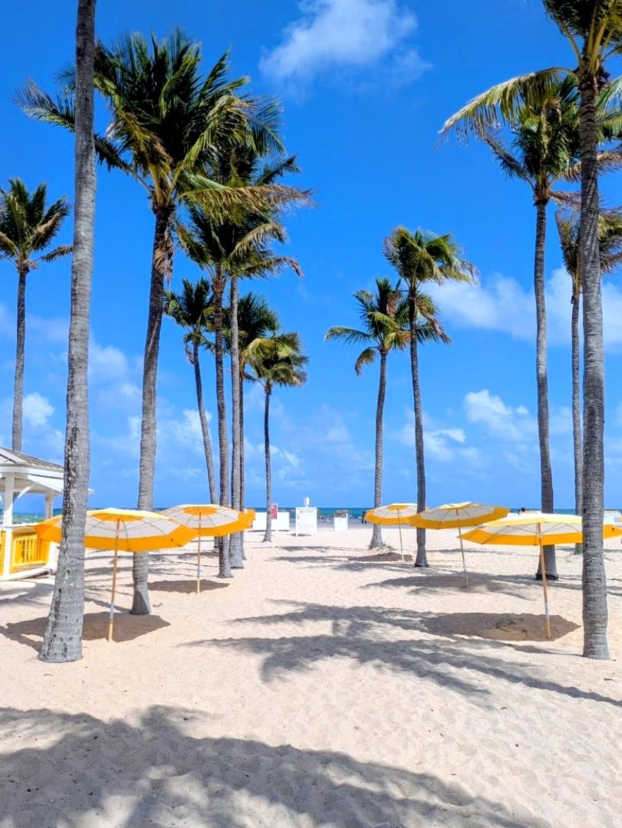 Lago Mar Resort tweet media