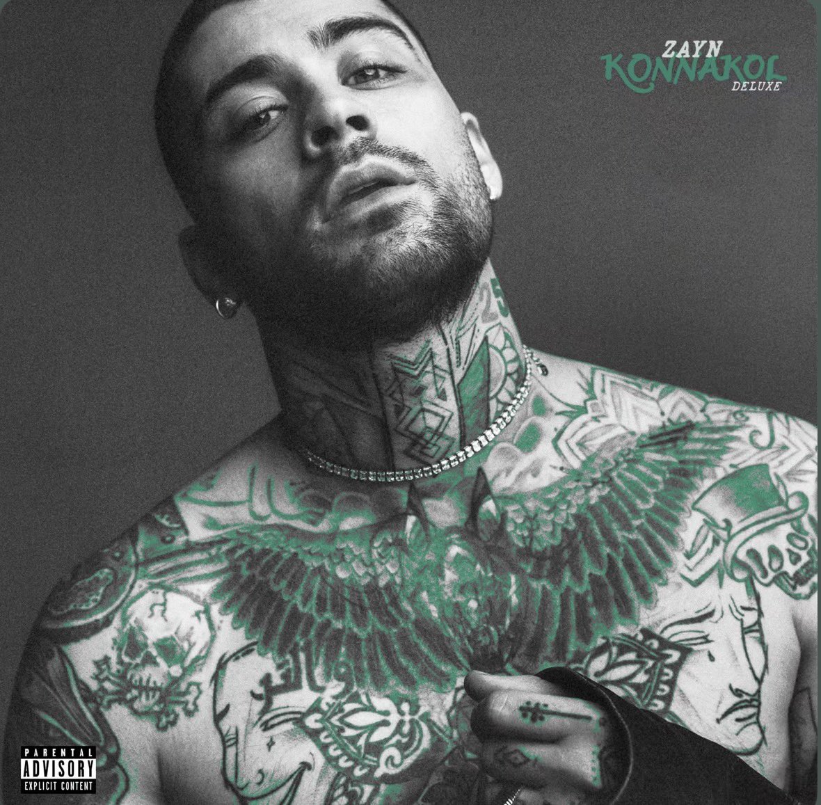 POR QUE ESSA NAO FOI A CAPA DO CD????????