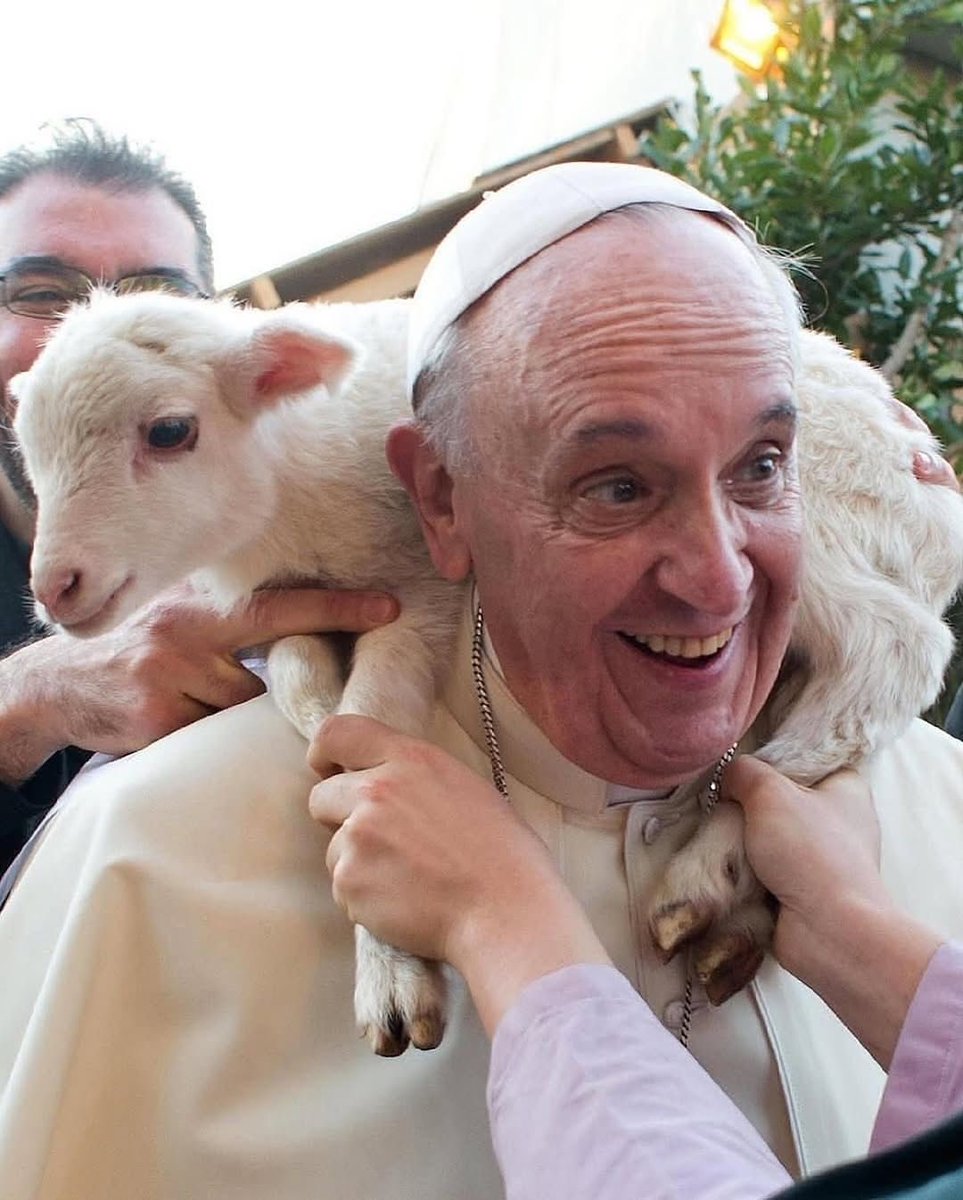 Ale Prieto tweet media