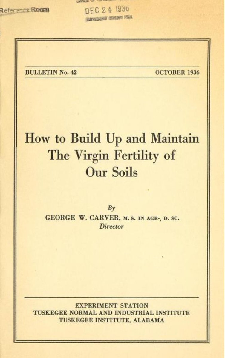 jules 🐊 tweet media