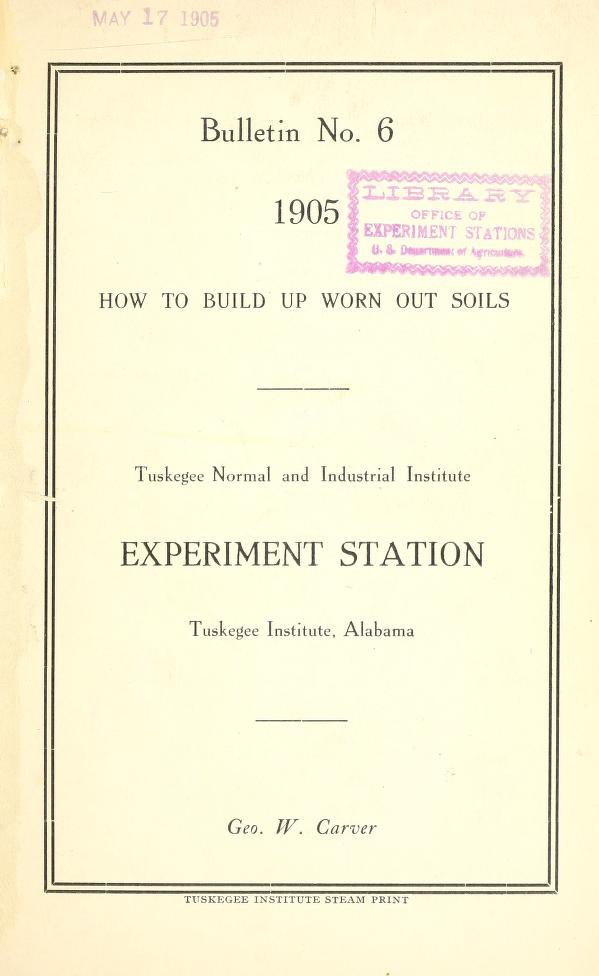 jules 🐊 tweet media