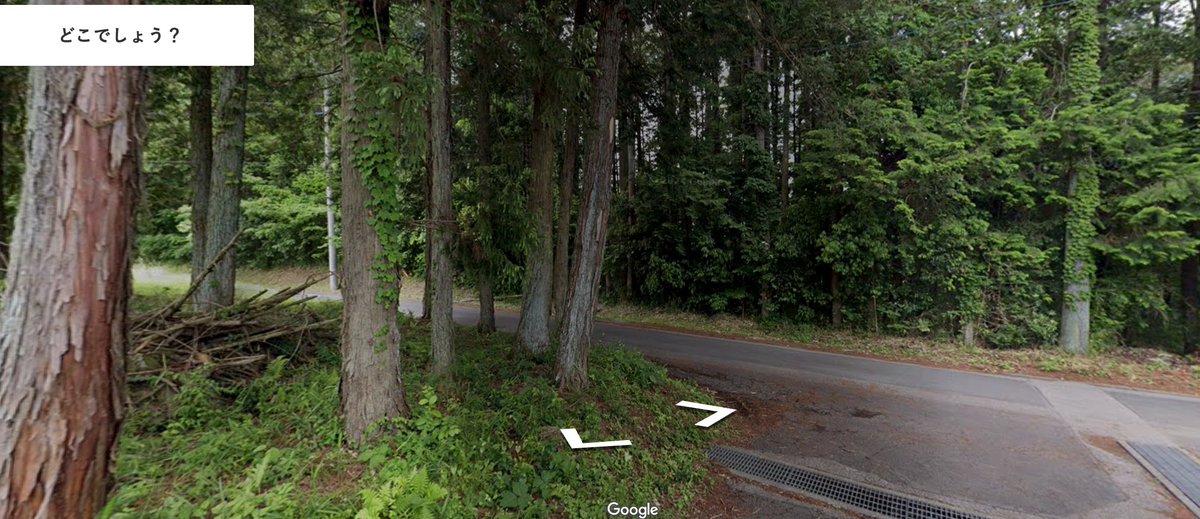 ストリートビュー検索マップ tweet media