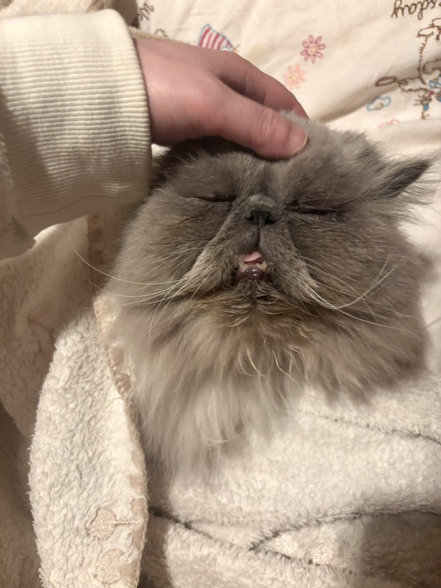 むうとゆぱ tweet media