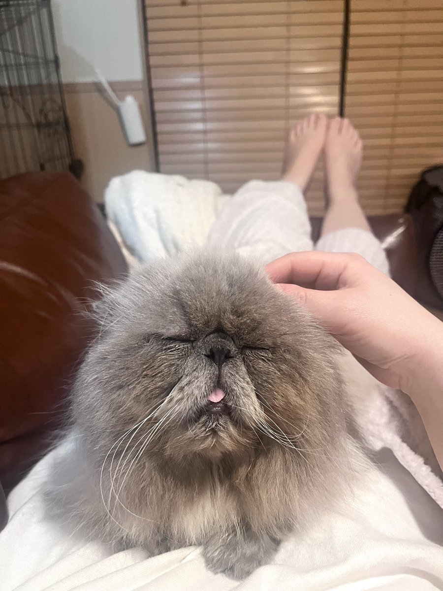 むうとゆぱ tweet media