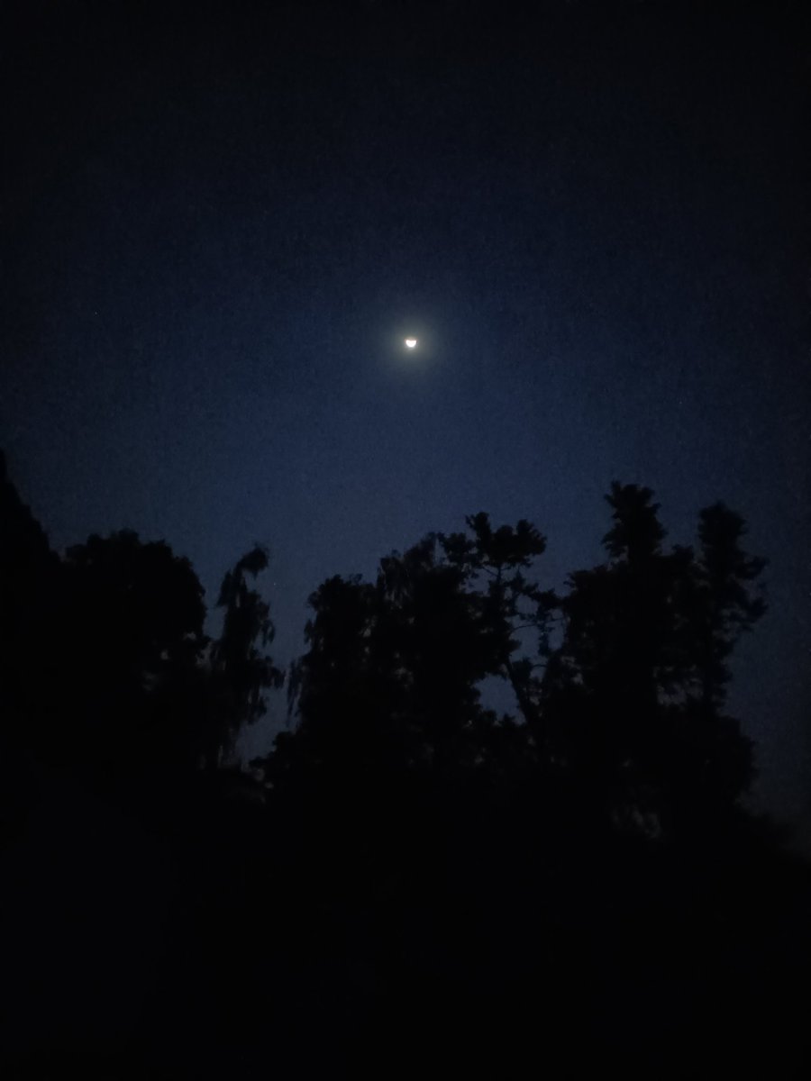 শুভ সন্ধ্যা 💫