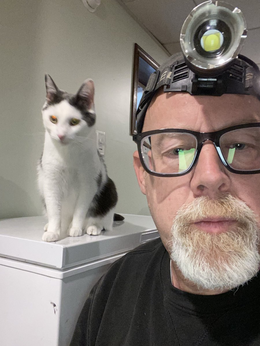 mdj750cb's tweet photo. When the job calls for zero cats. https://t.co/2JuFkPEO90