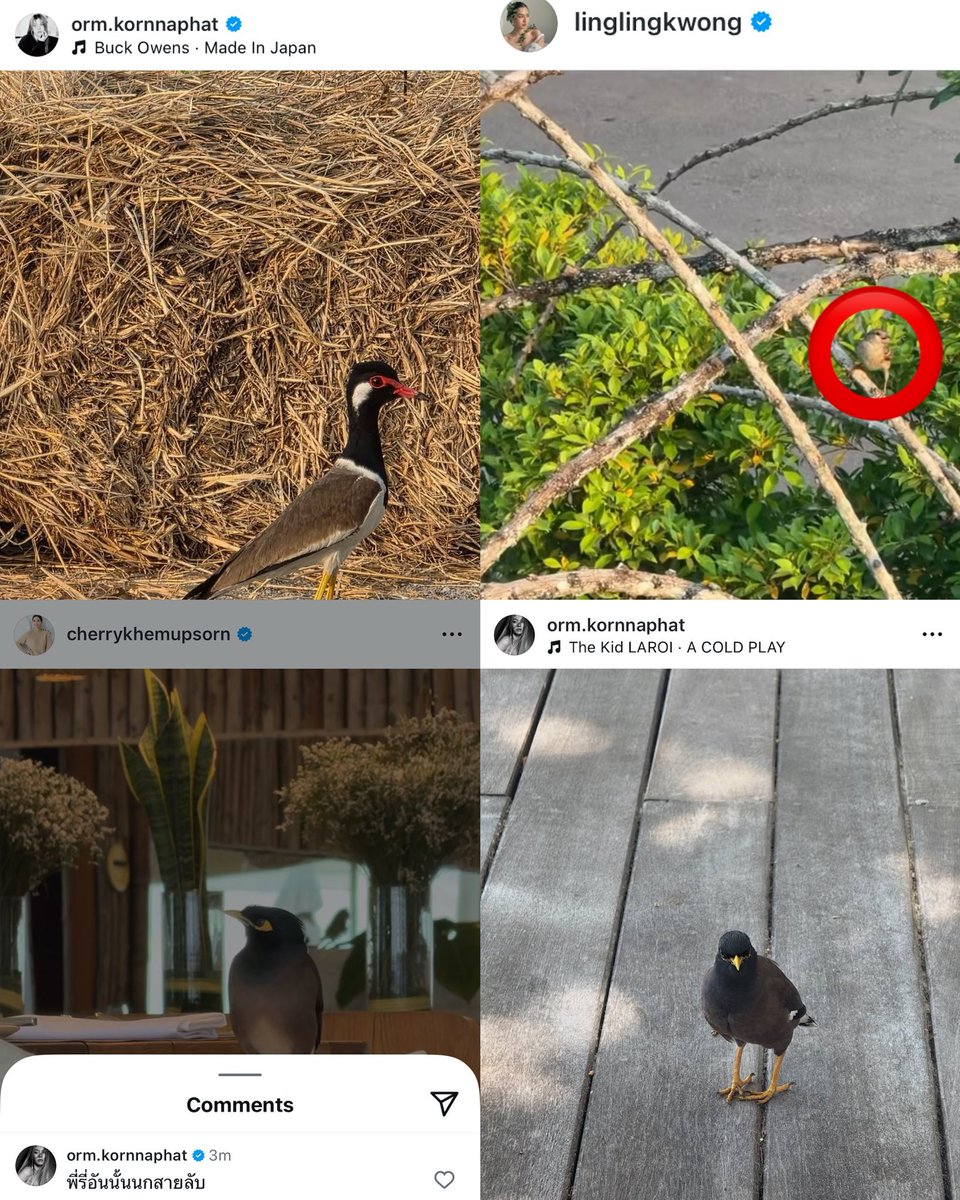 Tu Sĩ Núi Nga Mi tweet media