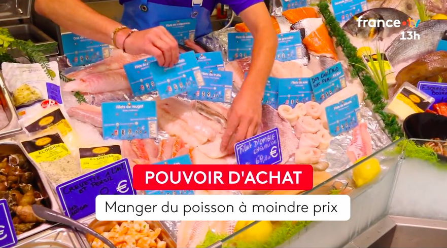 En revanche, on a appris qu'un requin avait été aperçu dans l'Aude sur TF1 et que le prix du poisson est cher sur France 2.