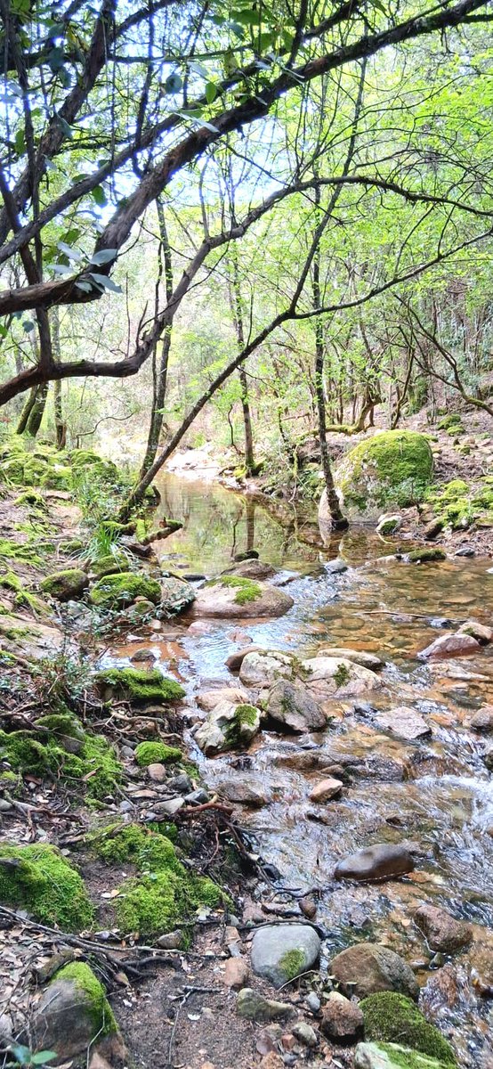 DaniaRess's tweet image. Naturale freschezza
🌱🌳🌿🍀🌺🍀🥀☘️☘️

#NatureMagic 
#martedi
#21Aprile