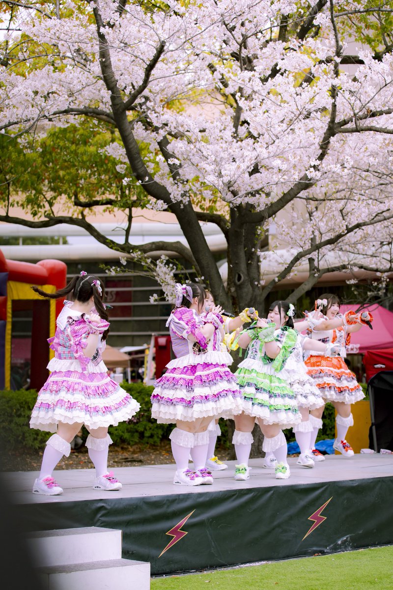 タカ（👻部員 tweet media