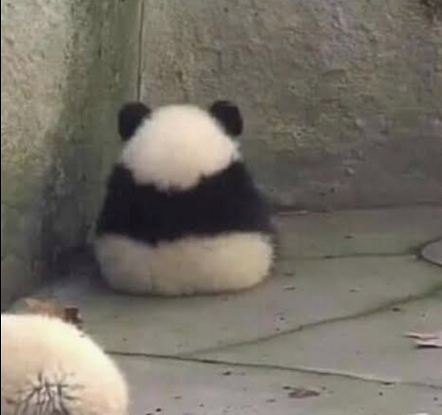 —— 𝓚lau𝑆 . tweet media