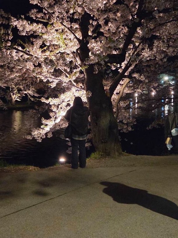 ある🍭🍎 tweet media