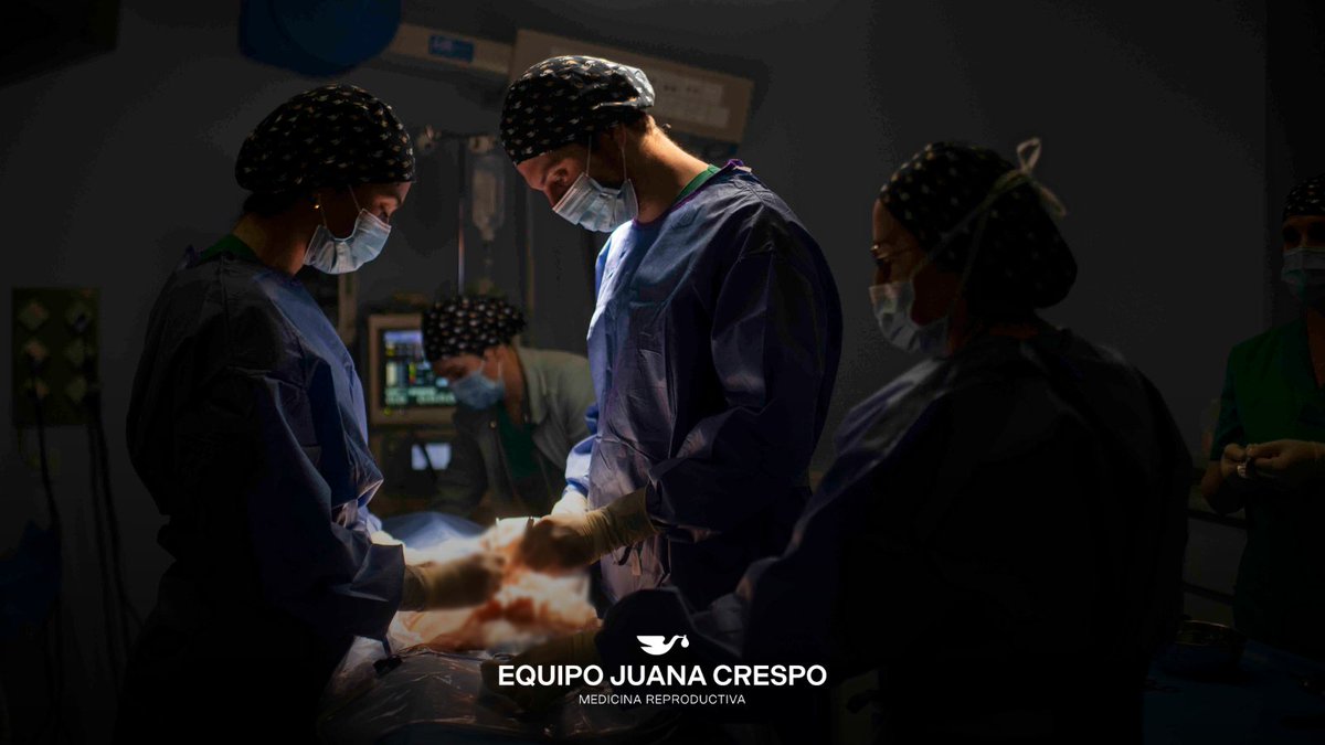 Equipo Juana Crespo tweet media