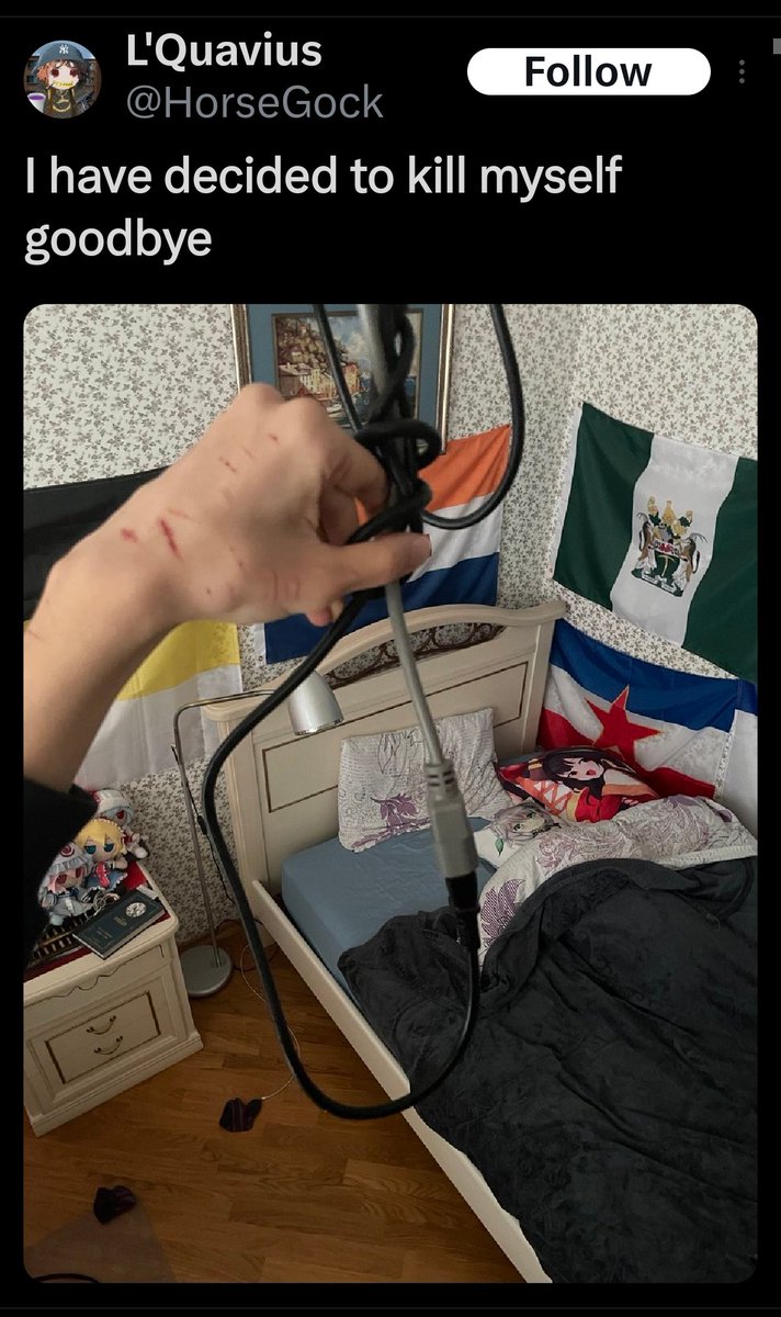 the final birch tweet media