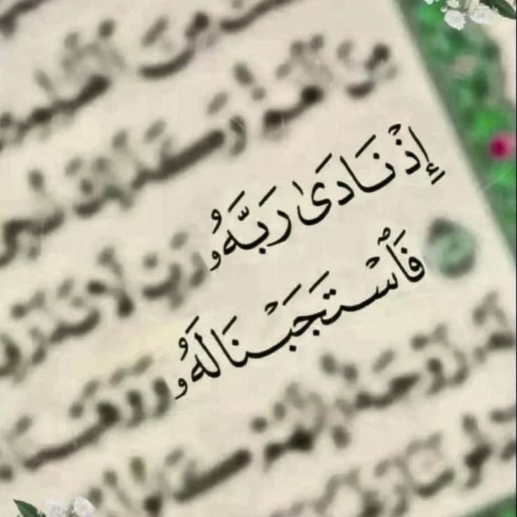 تغريدة tweet media