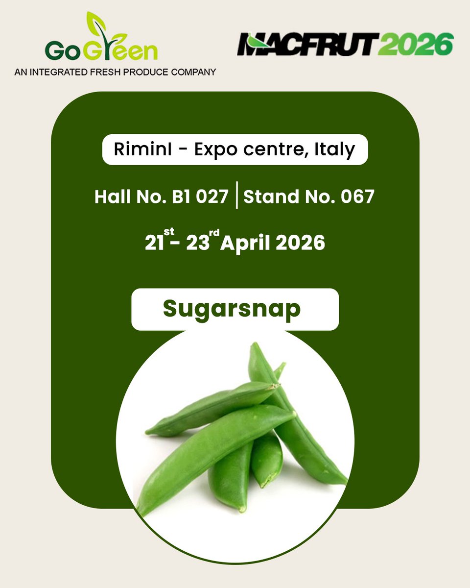 go_green41826's tweet image. A perfect crunch with a hint of sweetness 
Meet us at Macfrut 2026 featuring fresh Sugarsnap Peas

📍 Rimini Expo Centre, Italy
📌 Hall B1 027 | Stand 067

Let’s grow together!

#Macfrut #SugarsnapPeas #FreshVeggies #GoGreen #HealthyChoices #AgriBusiness #GlobalMarket