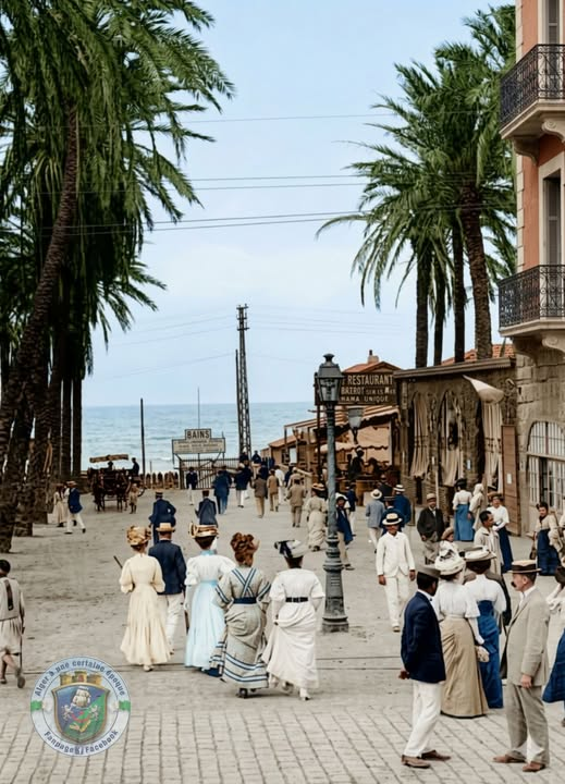 الحامة ، حديقة التجارب 1907 📷📷