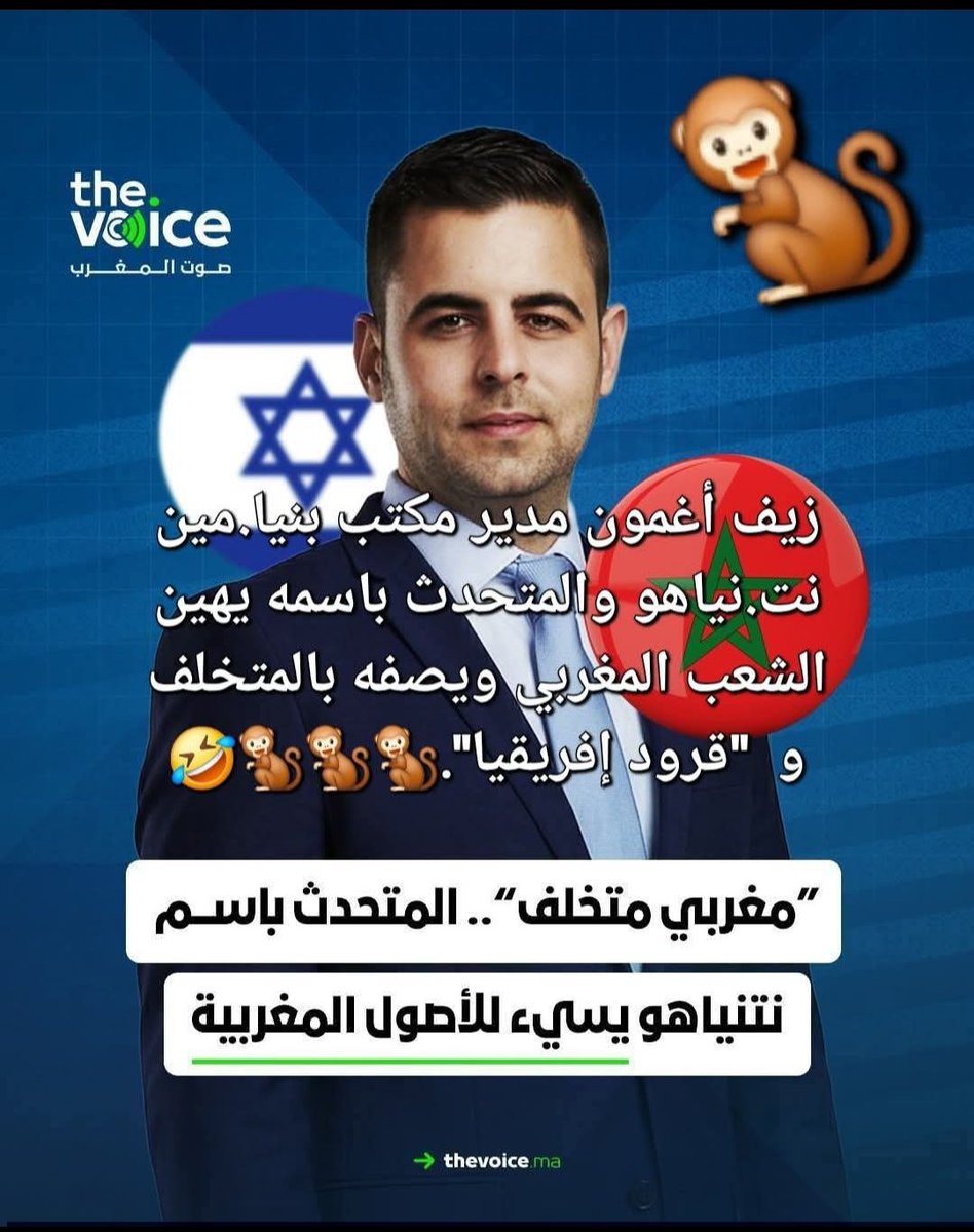 Staifi Khalil tweet media