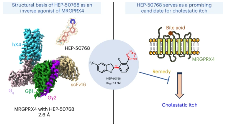 Nature Chemical Biology tweet media