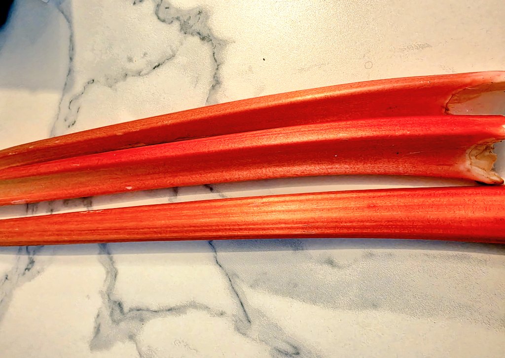 Takanashi Kiara (HoloEN) tweet media