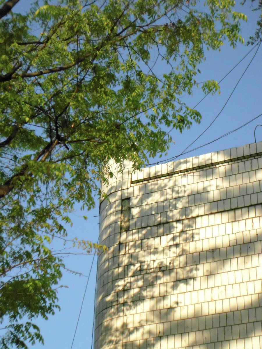 여름 tweet media
