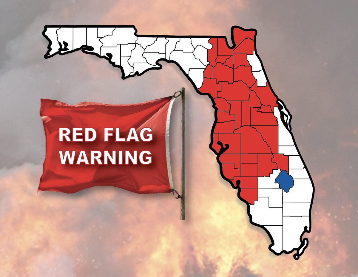 Florida Forest Service tweet media
